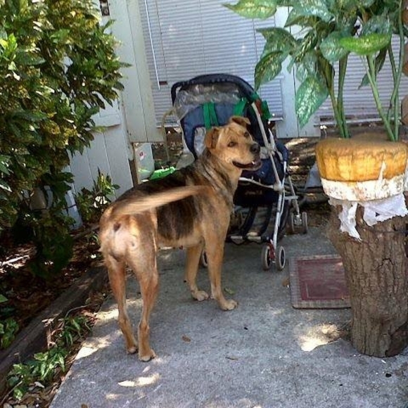 Meet your Posher, John - Picture 1 of 1